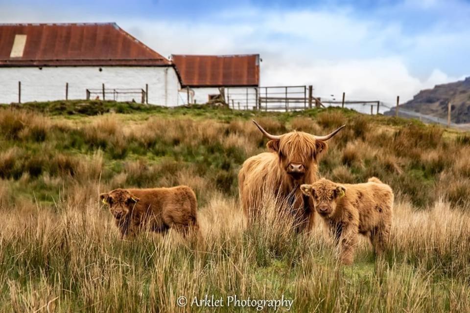Garrison Of Inversnaid Farm With Hot Tub Exteriér fotografie