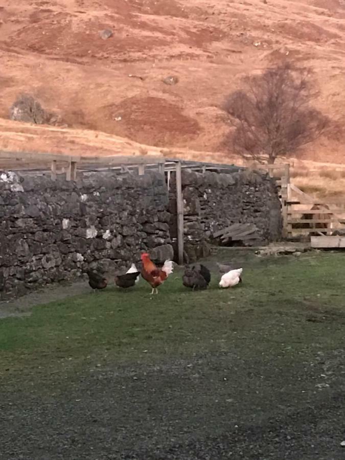Garrison Of Inversnaid Farm With Hot Tub Exteriér fotografie