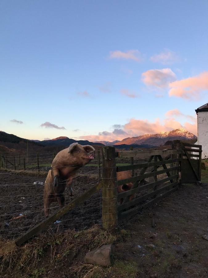 Garrison Of Inversnaid Farm With Hot Tub Exteriér fotografie